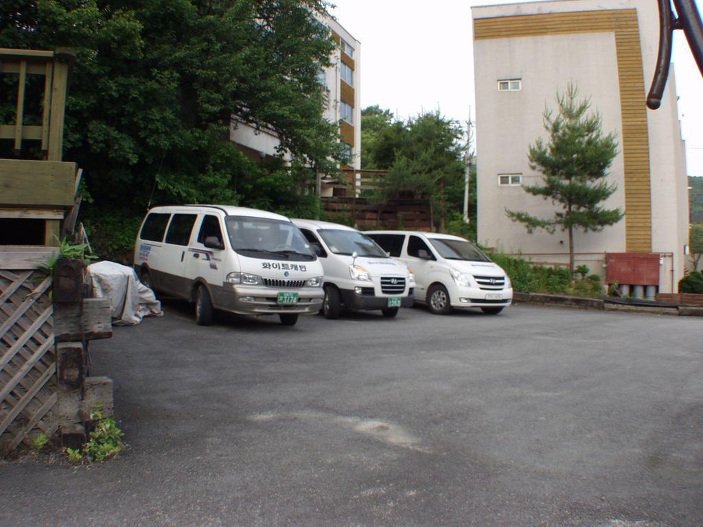 White Cabin Pyeongchang Dış mekan fotoğraf